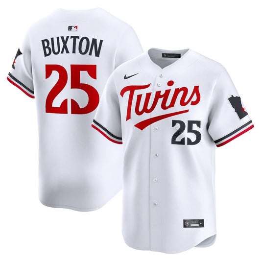 Men's Minnesota Twins Nike Player Jersey